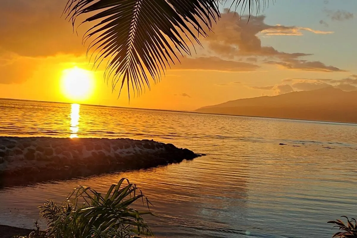 H & L Vairao Lodge Taiarapu-Ouest Alpehytte